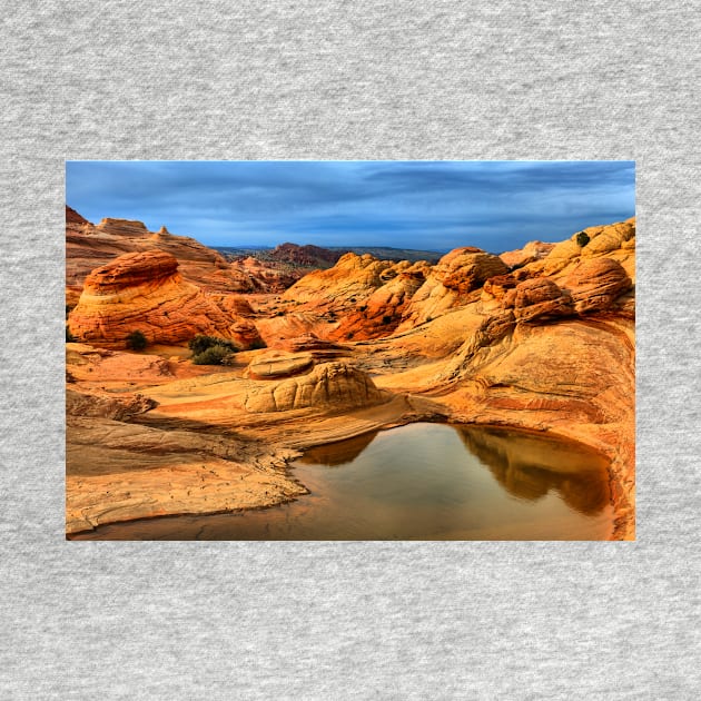 Reflections Of The Petrified Dunes by AdamJewell